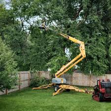 Reliable Farmington, MN Tree Removal and Landscaping Services Solutions